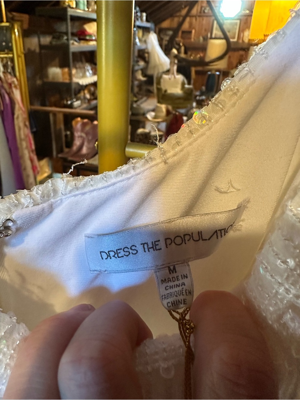 Dress the Population Ivory Sequin Fringe Slip - Picture 4 of 5